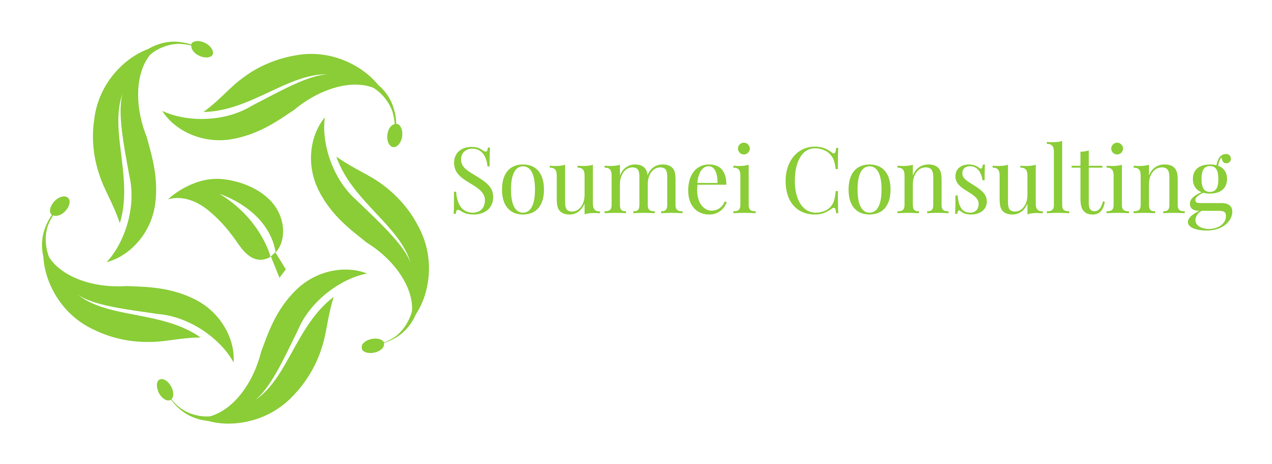 Soumei Consulting, Inc.